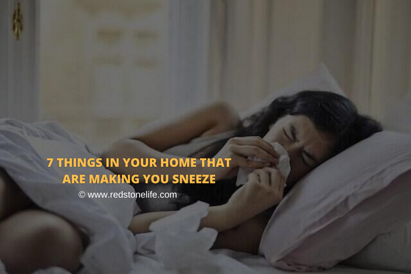 7 Things In Your Home That Are Making You Sneeze - Redstonelife.com